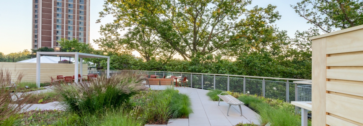 Healing Garden at Mount Auburn Hospital, Cambridge, MA.