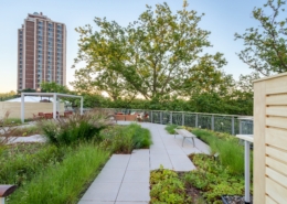 Healing Garden at Mount Auburn Hospital, Cambridge, MA.